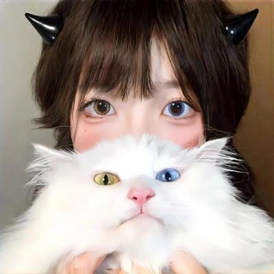 拳影人生在线观看